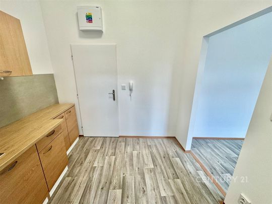 Pronájem bytu 1+kk a garsoniéry 21 m², Tkalcovská , Brno - Photo 1