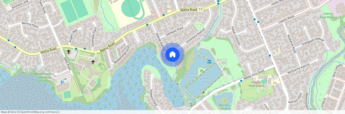 20B Volante Avenue, Wattle Downs, Manukau City