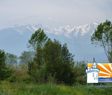 Location Appartement 2 pièces 37m² ST CYPRIEN 66750 - Photo 4