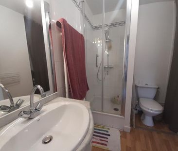 Location appartement 2 pièces 44.3 m2 à Joué-lès-Tours - Photo 3