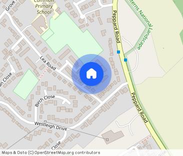 Maple Close, RG4 - Photo 1