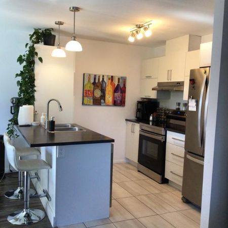 Grand 5 1/2 a louer St-Jérome, a partir du 1 décembre ou 1er janvier. Endroit tranquille avec locataires établies depuis plusieurs année. Parcs a roxi - Photo 3