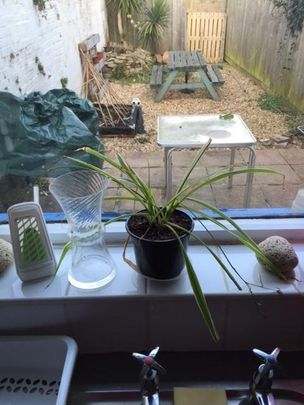 2 bedroom cottage to rent - Photo 1