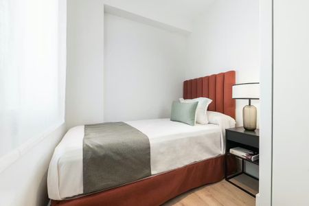 Calle del Doctor Castelo, Madrid, Community of Madrid 28009 - Photo 3