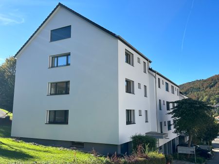 4436 Oberdorf BL, Milcherweg 20 - Foto 4