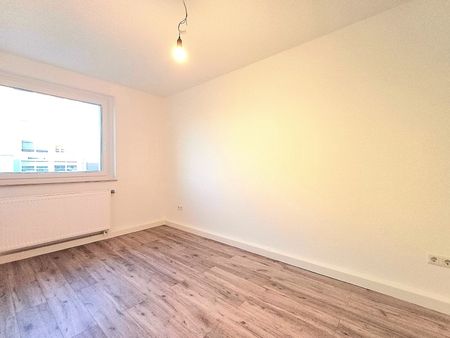 In den Leibnizgärten… - Photo 2