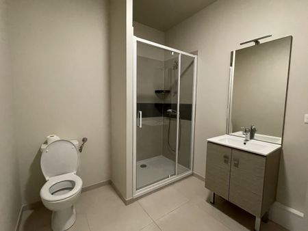 Location Appartement 2 pièces 44m² LE MANS 72000 - Photo 3