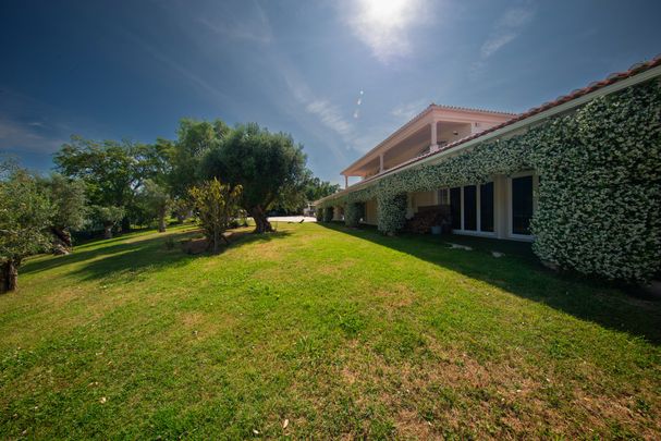 Detached villa with heated pool in Leiria - Photo 1