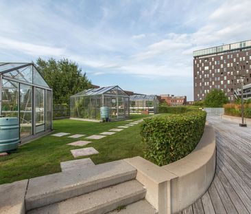 Appartement te huur: Het Hout 5 9723 LA Groningen - Foto 3