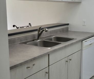 For Lease - 75 Ellen Street Unit# 101, Barrie, Ontario - Photo 4