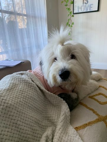 Sylvania Waters - Photo 2