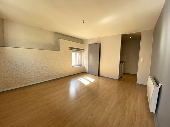 Location Appartement 1 pièce 20m² NANCY 54000 - Photo 1