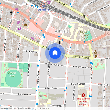 44 Norton Street, NSW 2131, Ashfield