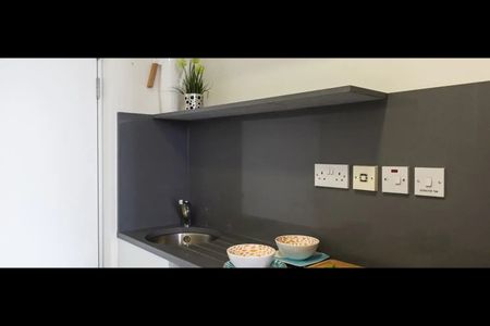 Room in a Shared Flat, Pentonville Road, N1 - Photo 4