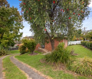 RENOVATED NORTH HILL FAMILY HOME - Photo 6