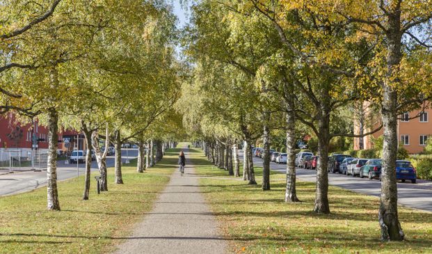 Döbelnsgatan 2B, 75237, Uppsala - Foto 1