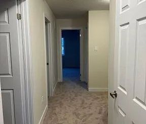 54 ROWLOCK STREET - Photo 4