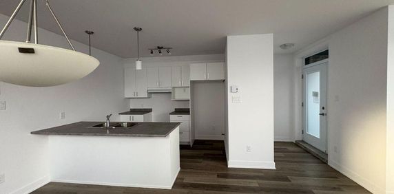 1-Bedroom Basement Apartment | Prime Commuter Location-410, Rue Des Becs-Scie, apt. 2, Gatineau (Masson-Angers), QC - Photo 2