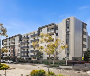 D102/2 Mackinder Street, Campsie NSW 2194 - Apartment For Rent | Do... - Photo 2