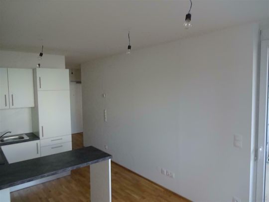 Prov-Frei - 2 Zimmer + Loggia in der Niesenbergergasse - Foto 1