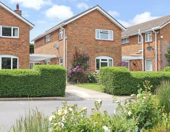 3 bedroom detached house to rent - Photo 1