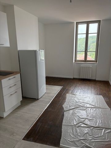 T3 Thizy-les-Bourgs - Photo 4