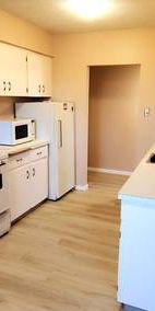 3 Bedrooms,large apartment! Amazing Location! Close to U of C! - Photo 3