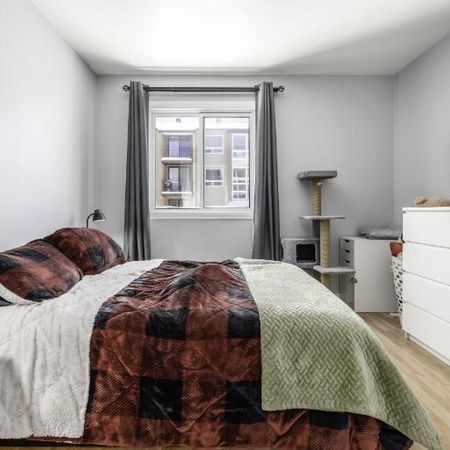 Appartement 3 ½ à louer juillet 2026 - Photo 3