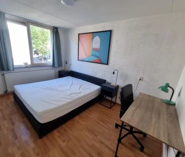 Maisonnette meublée Berkstraat, Utrecht - À louer - Foto 5