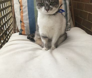 Coburg North - Photo 3