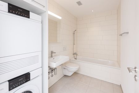 Modern garden apartment in Lausen - Photo 3