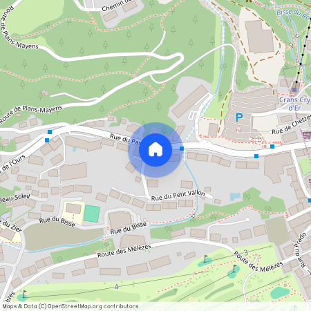 3963, Crans-Montana, Rue du Pas-de-l'Ours, 21