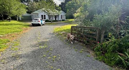 Bring your furry friend - Photo 3