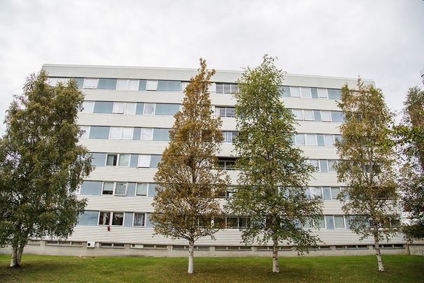 Hamnplan 20 B, 94161, Piteå - Foto 1