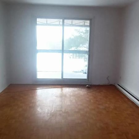 TERREBONNE 4 1/2 LIBRE PRÈS TERMINUS D'AUTOBUS TERREBONNE - Photo 4