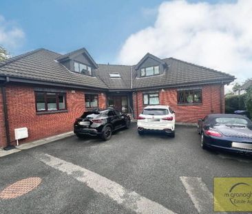 Apt 3, Ormonde Park, Belfast, BT10 0LT - Photo 4