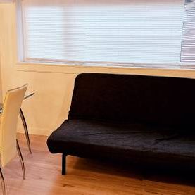 Private|Furnished BASEMENT Micro Studio - Available NOW until April 1 - Photo 2