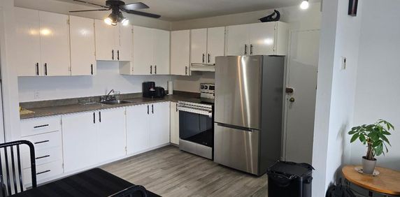 ST-JEAN-SUR-RICHELIEU, 3 1/2 tout renové pres tous services - Photo 2