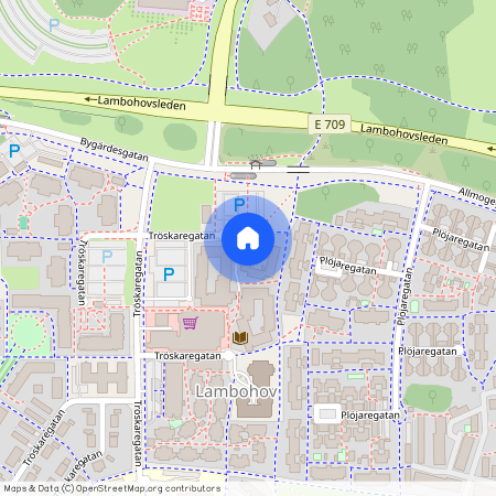 Lambohov, Tröskaregatan 49.13