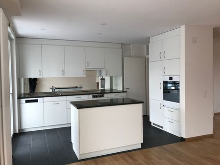 Grossbasel MFH Birsstrasse - Photo 3