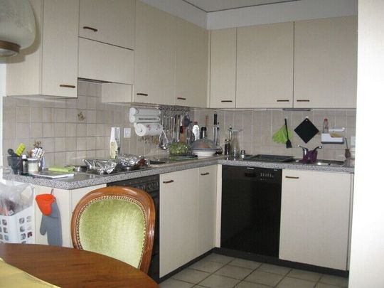 2-ROOM APARTMENT IN RIEHEN (BS), FURNISHED, TEMPORARY - Photo 1