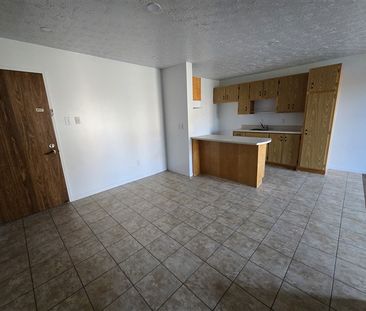 2020-204 (vacant) rue Gauthier Grand 3½ Sherbrooke J1H 6A5 - Photo 3