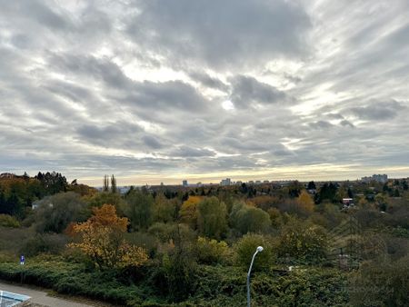 PARK OSTROWSKA widok na panoramę miasta! WYNAJEM - Photo 5