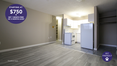 Kerpel Apartments - Photo 3