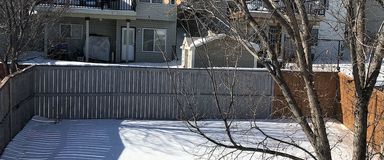 BEAUTIFUL & WELL KEPT 3 BEDROOMS PANAMOUNT HOME FOR RENT IMMEDIATELY | Calgary - Photo 1