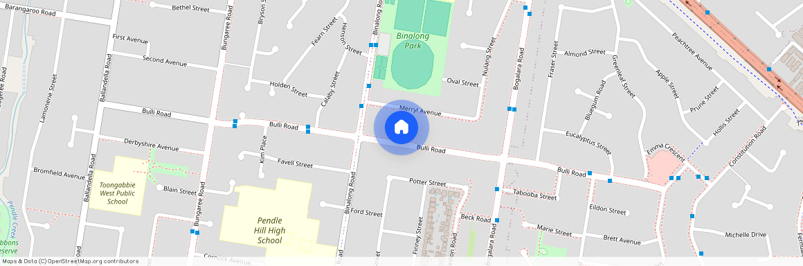 91 Bulli Road, Old Toongabbie NSW 2146