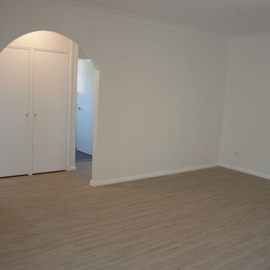 2/13 Mercury Street, Wollongong NSW 2500 - Apartment For Rent | Domain - Photo 1