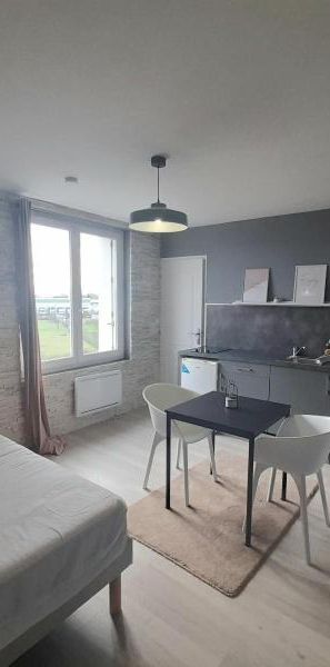 Location Appartement 1 pièce 21m² NAZELLES NEGRON 37530 - Photo 1