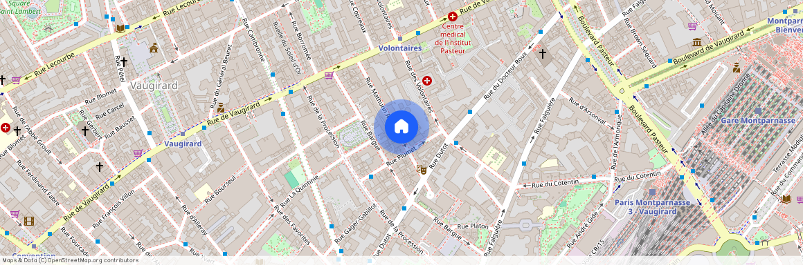 33 Rue Mathurin Régnier, 75015 Paris 15