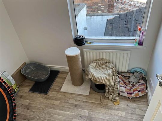 42 Woodcot Avenue, Belfast, BT5 5JA - Photo 1